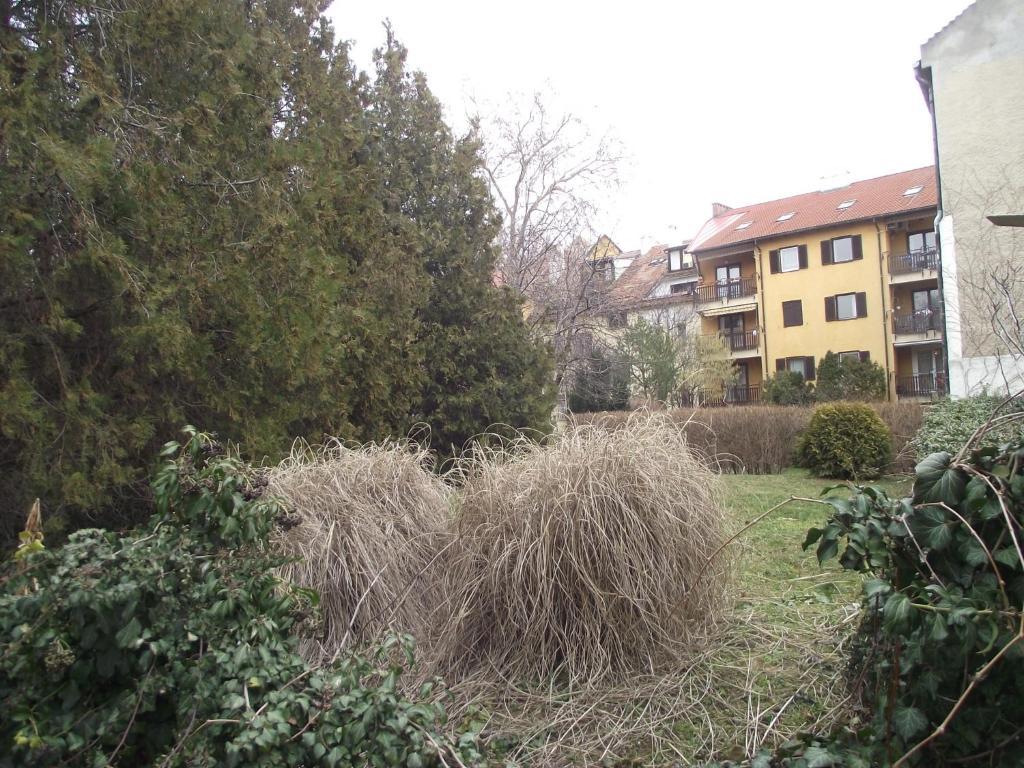 פץ' Centrum Apartman מראה חיצוני תמונה